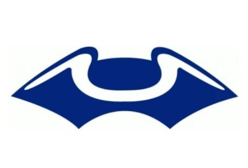 New England Patriots Logo 1960
