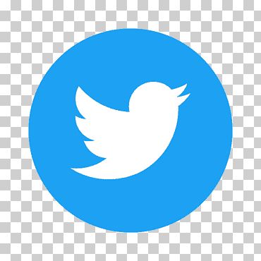 The Official Twitter Logo