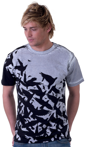 3651_Blackbirds_M_F_detail