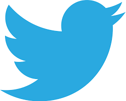 Official Twitter Logo