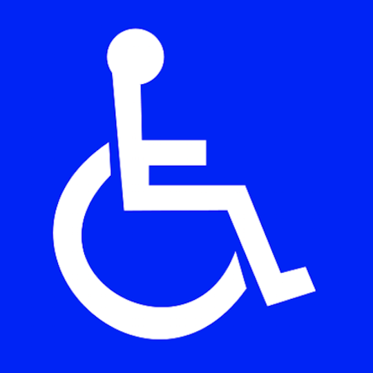 The Handicap Logo
