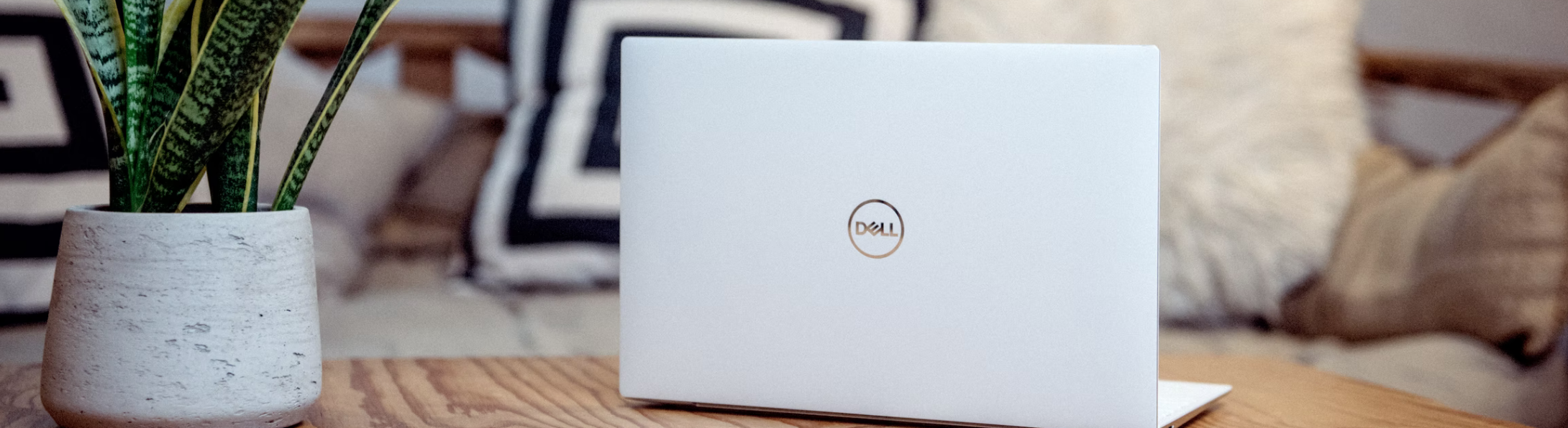 The History of the Dell Logo