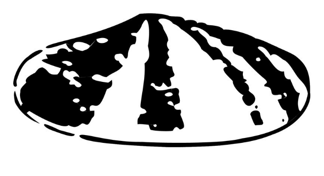 1900 shell logo