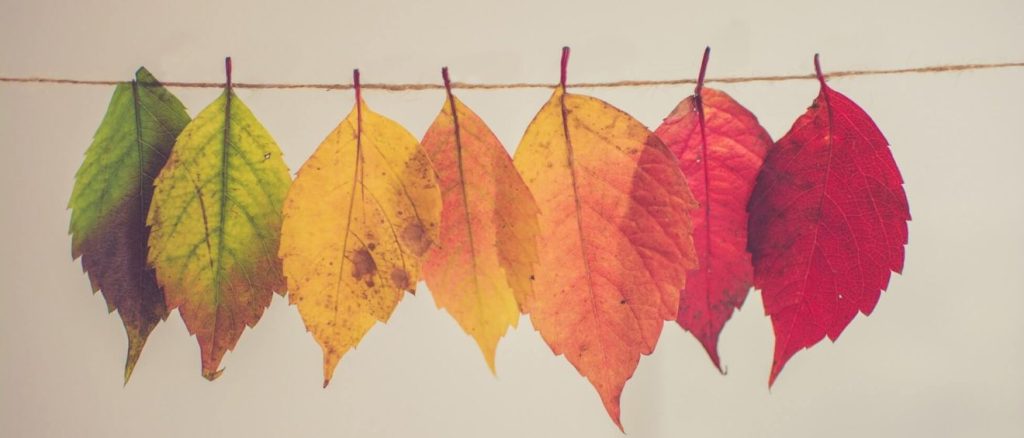 Image with colorful leaves hanging from a string
